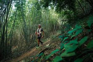 BIB: 
                            <button type="button" onclick="openModal(28141193)" class="btn btn-primary btn-sm float-right btn-popup" data-toggle="modal" data-target=".modal-high-quality">
                        <i class="fas fa-shopping-cart"></i> Add to Cart
                    </button>
                                            <button type="button" onclick="isThisMe(28141193, true)" class="btn btn-success btn-sm float-right btn-popup btn-isme hidden" data-toggle="tooltip" data-placement="bottom" title="นี่คือรูปของคุณใช่ไหม คลิกที่นี่เพื่อเอาเข้าอัลบั้ม">
                        <i class="fas fa-plus"></i> Add to album
                    </button>
                    <button type="button" onclick="isThisMe(28141193, false)" class="btn btn-warning btn-sm float-right btn-popup btn-isnotme hidden">
                        <i class="fas fa-ban"></i> Remove from album
                    </button>